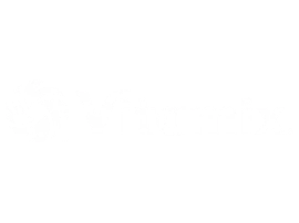 vitamix